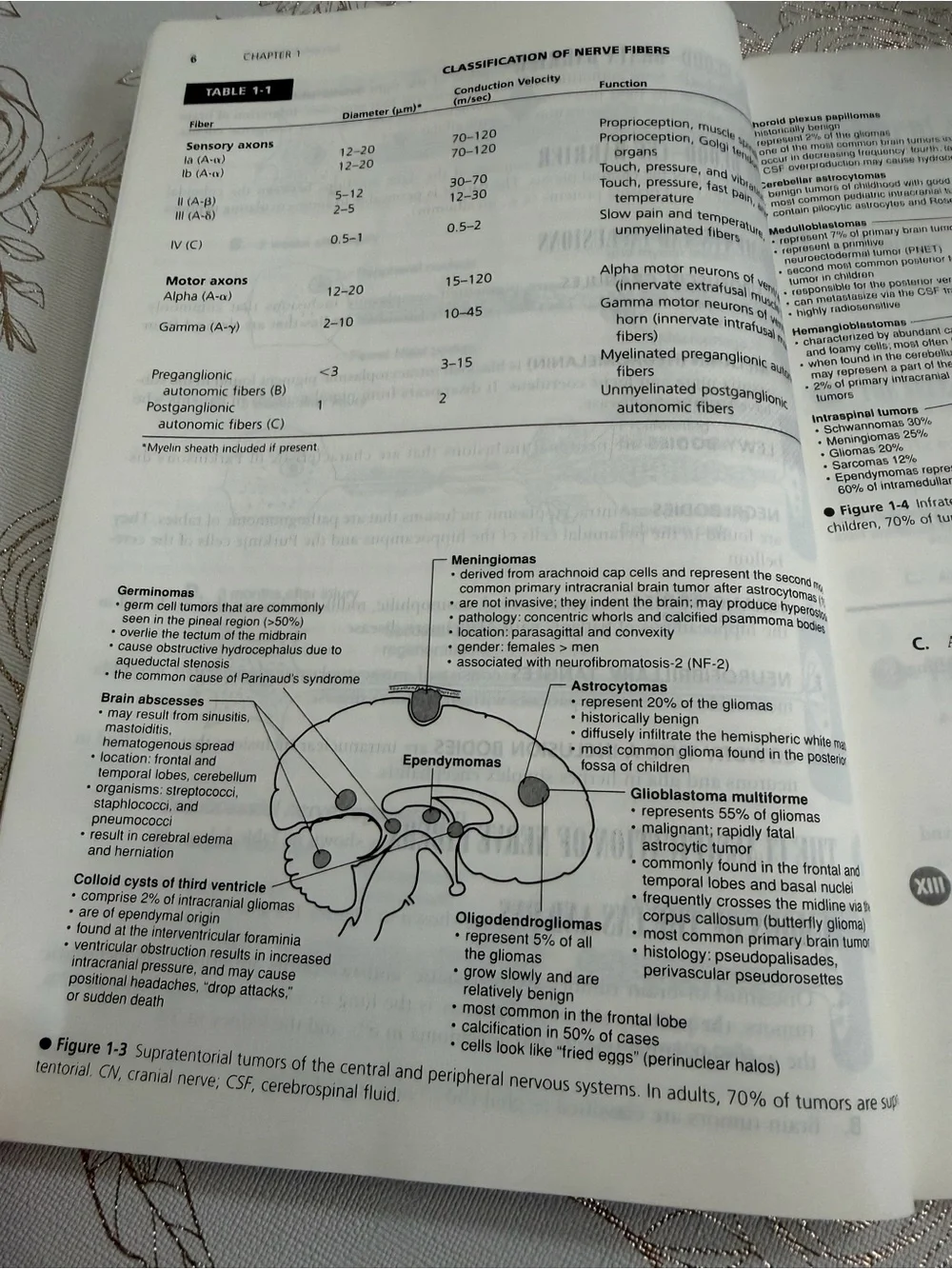 High-Yield Neuroanatomy (4th Edition) - James D. Fix - USMLE Step 1 Prep